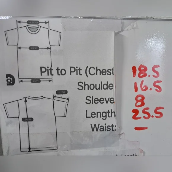 Lacoste x Peanuts Snoopy Men's Polo Shirt Tennis Pique Cotton Size Small (3) - Picture 14 of 14